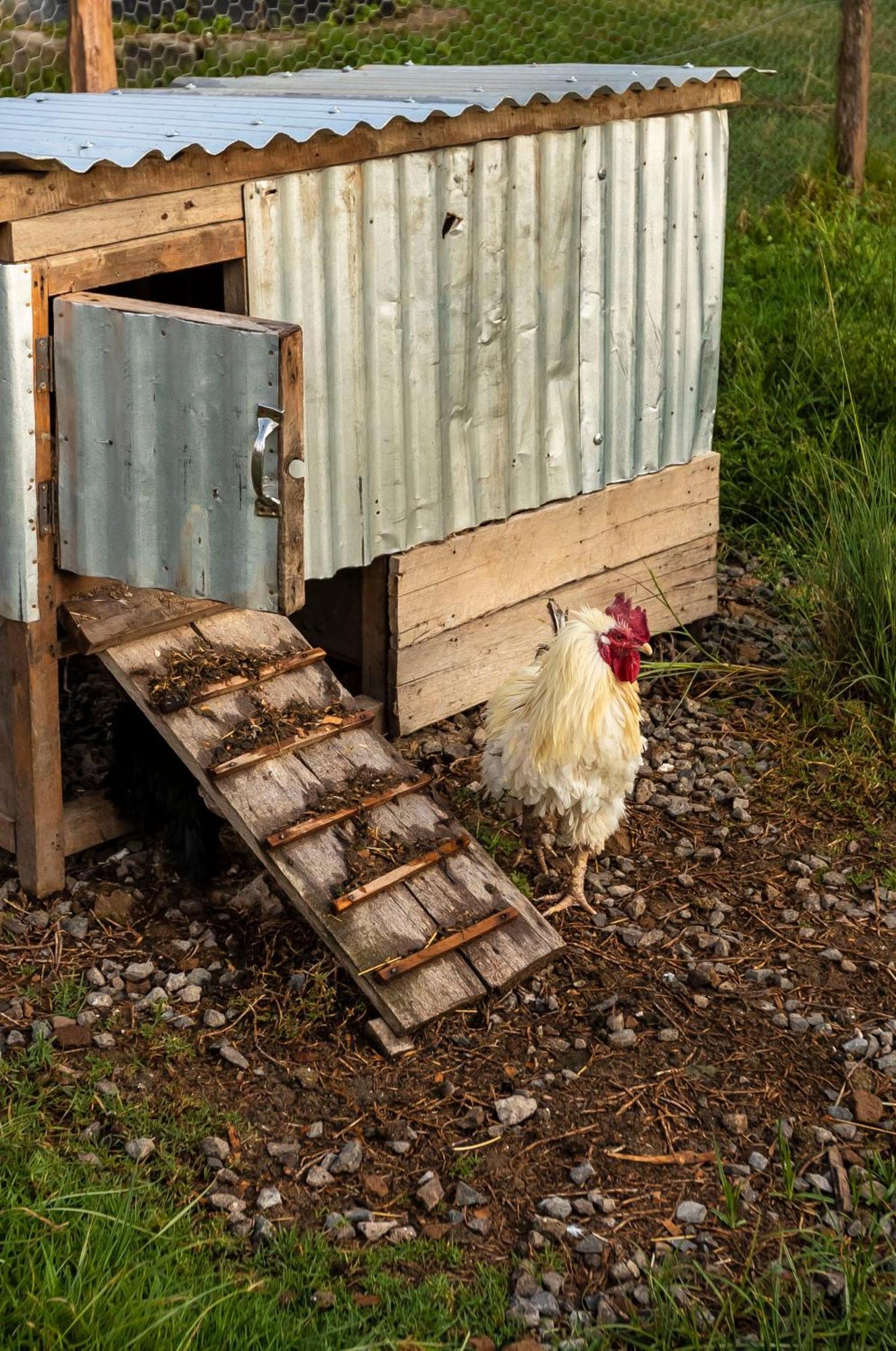 Mount Kenya Farm Stay Nanyuki Exterior photo